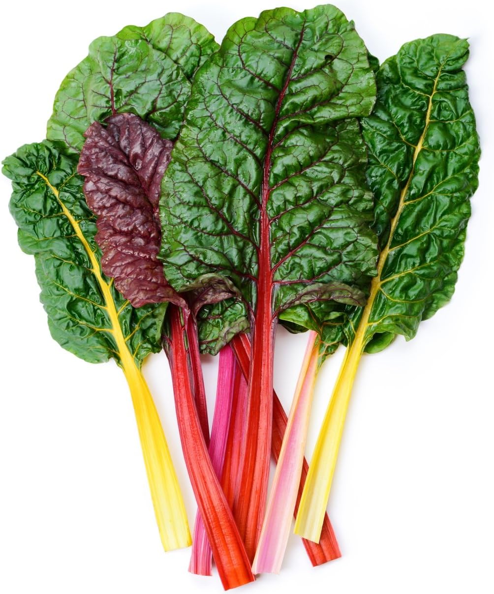 Rainbow Chard