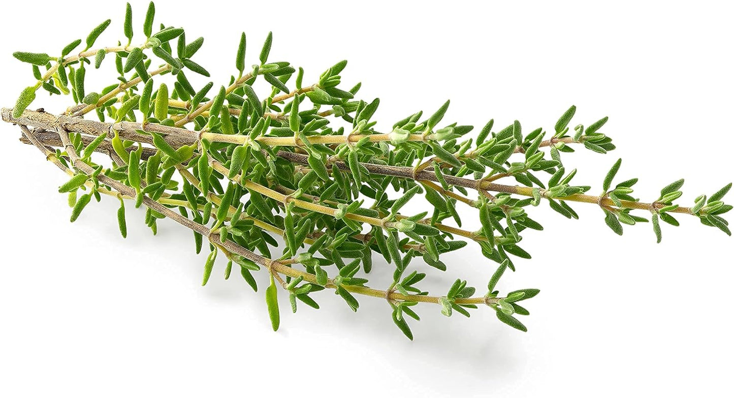 Thyme