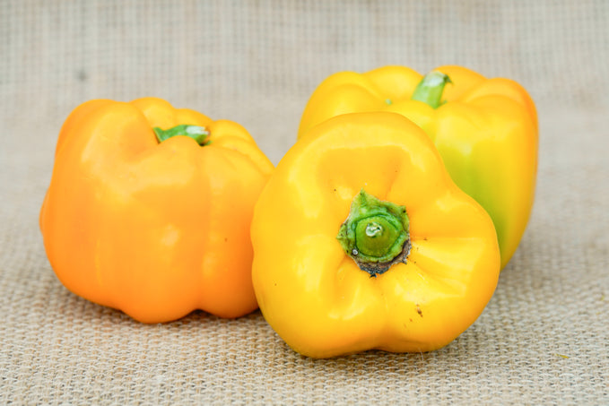 Bell Pepper Red/Yellow