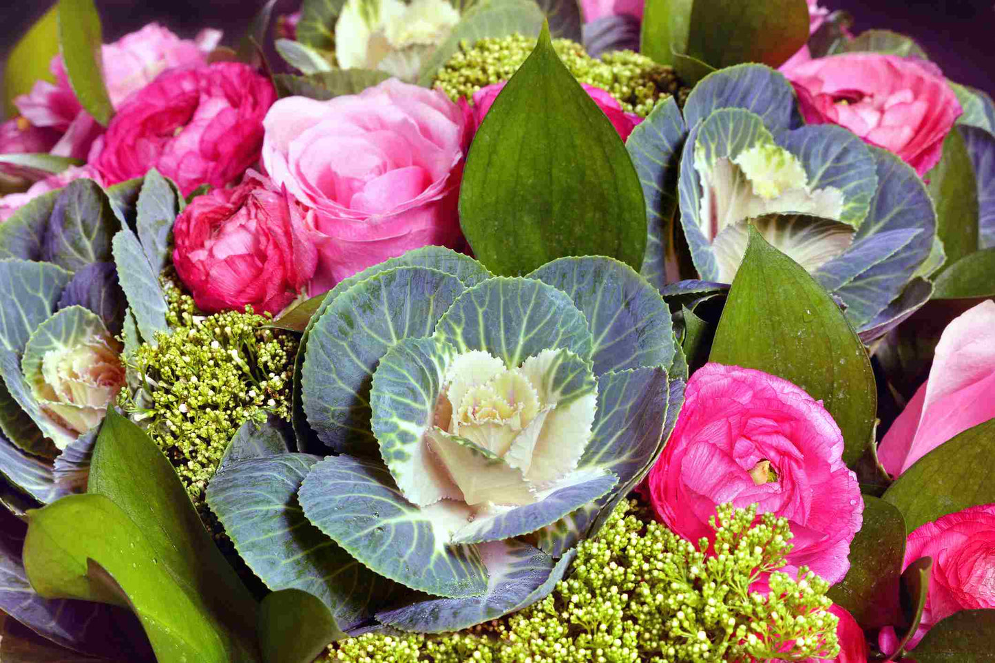 Ornamental Kale