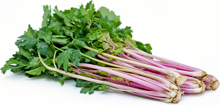 Pink Celery
