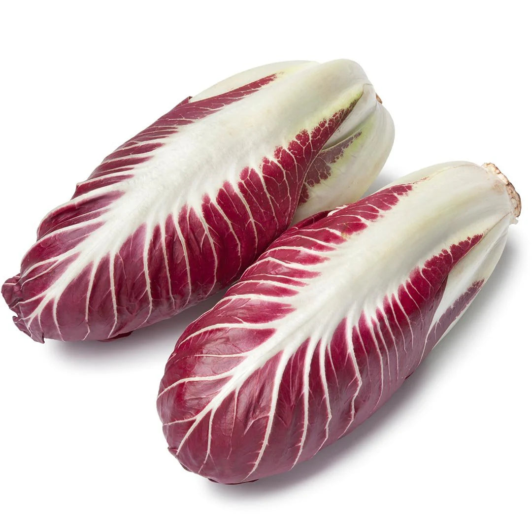 Radicchio Fiero