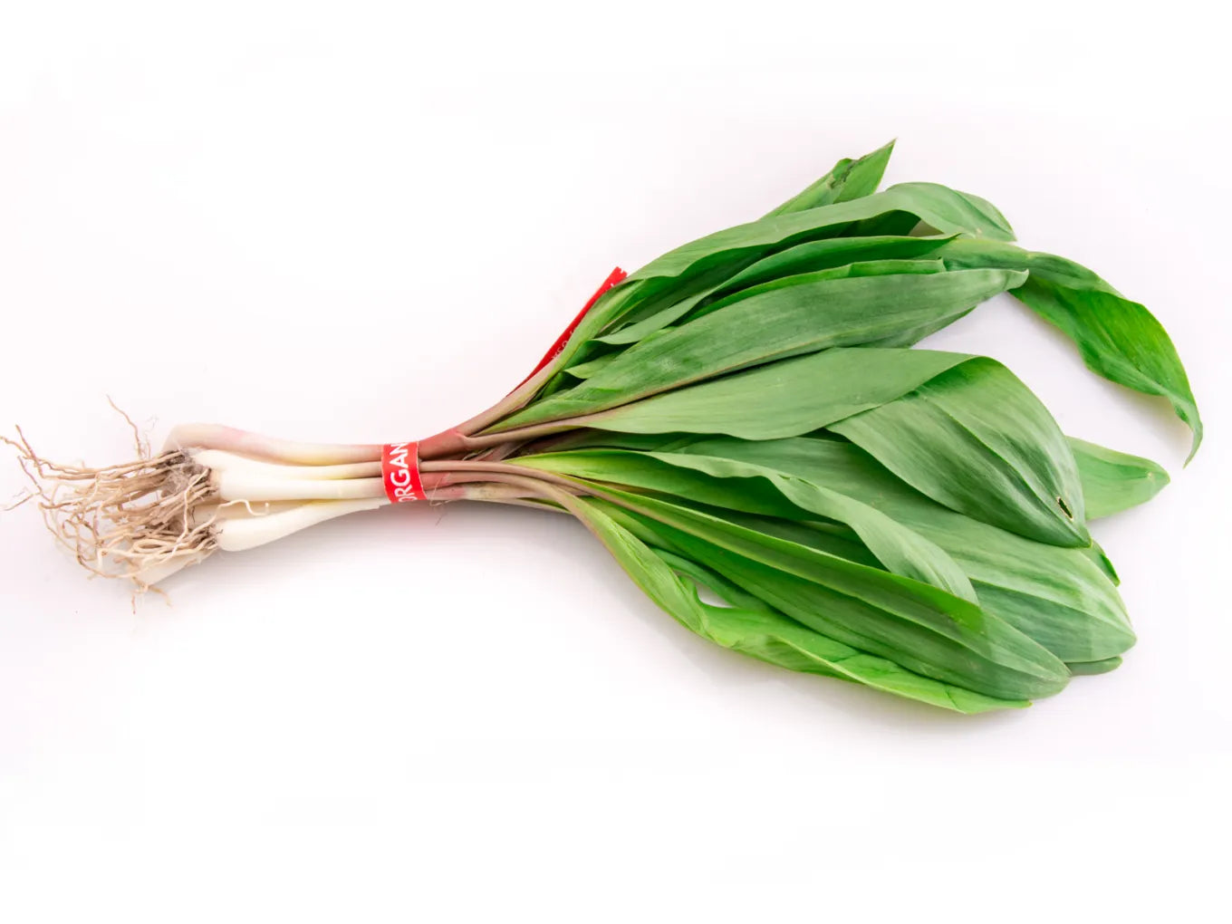Ramps