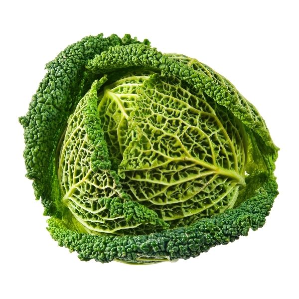 Cabbage curly