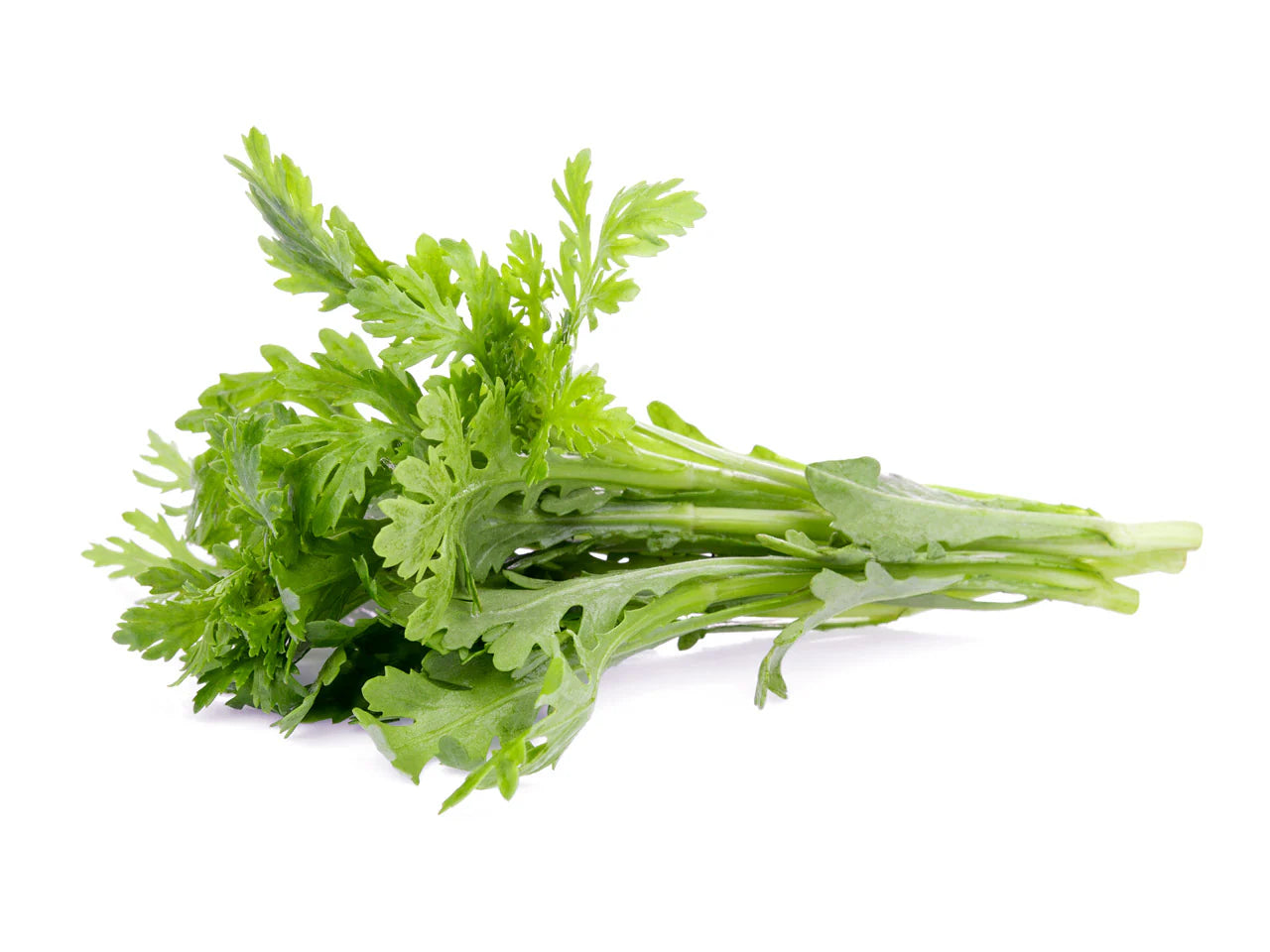 Shungiku