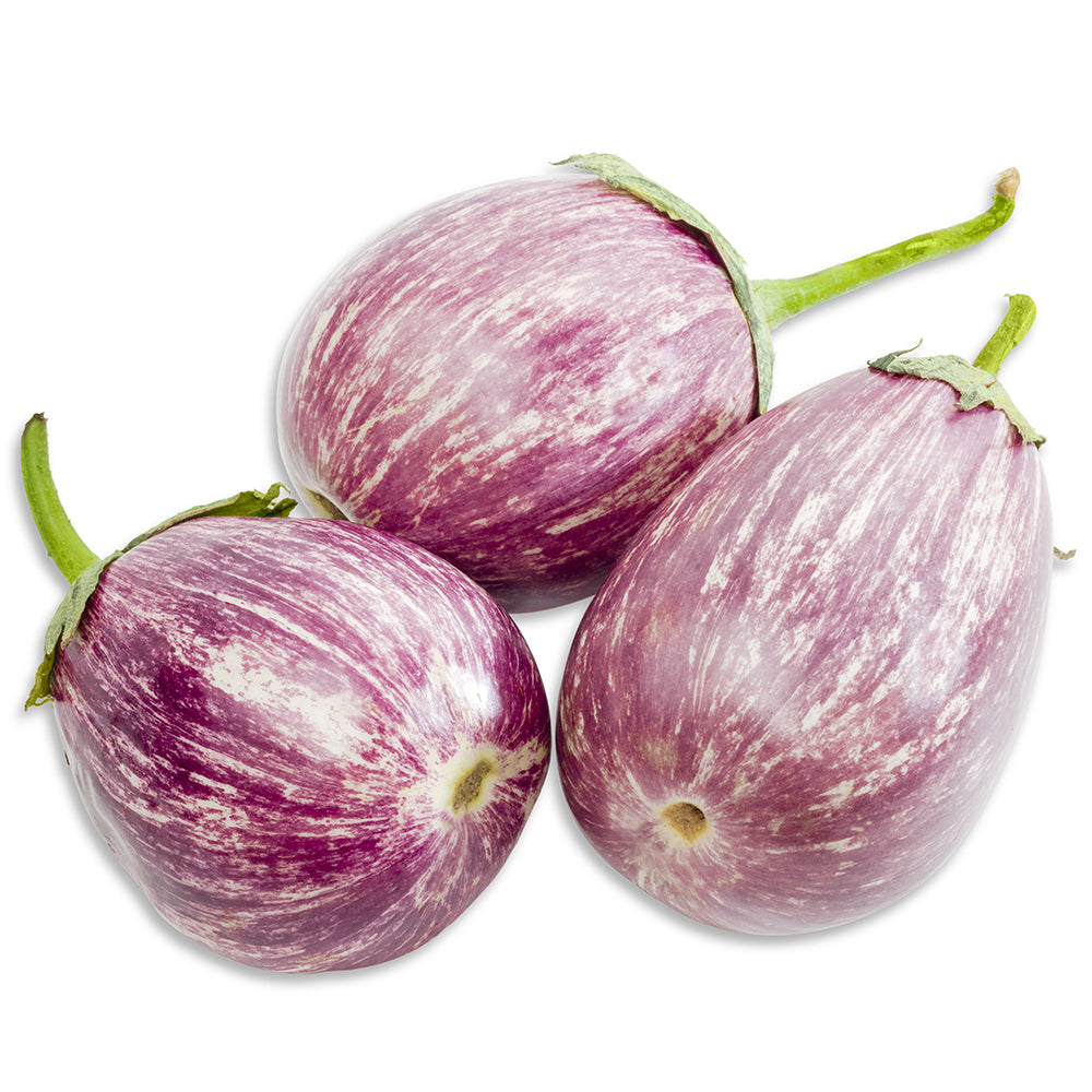 Caliope Eggplant