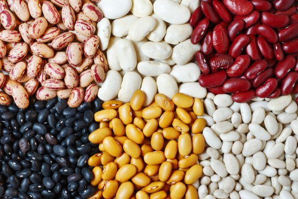 Dry beans