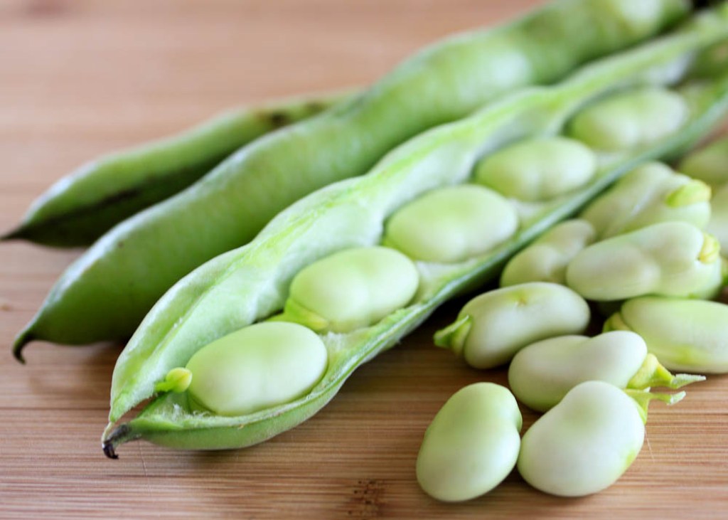 Fava beans sale