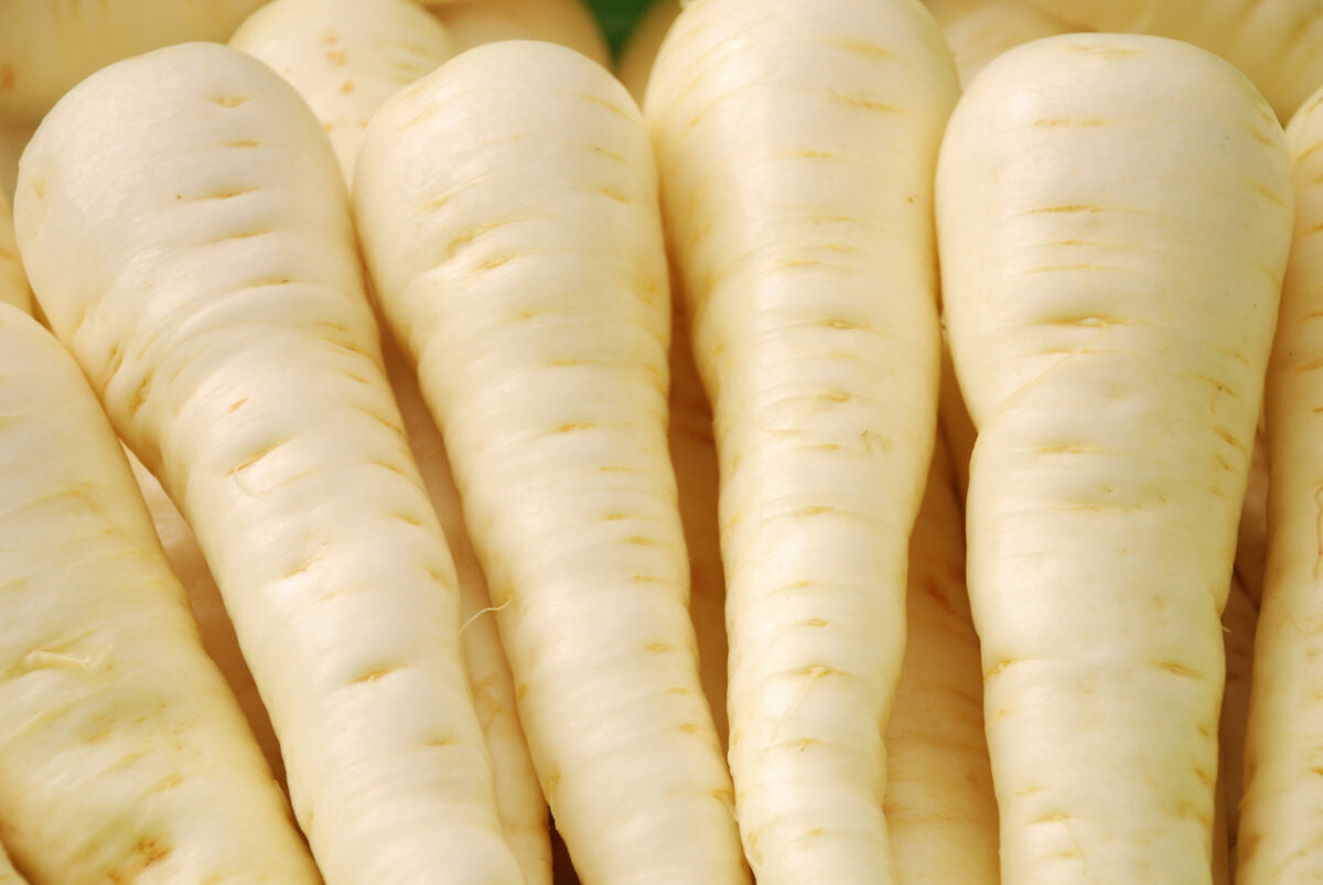 PARSNIP