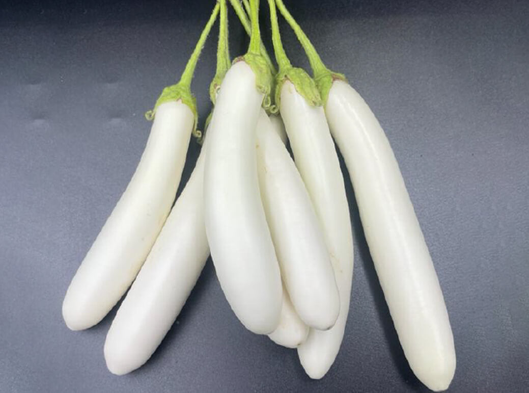 Gretel Eggplant