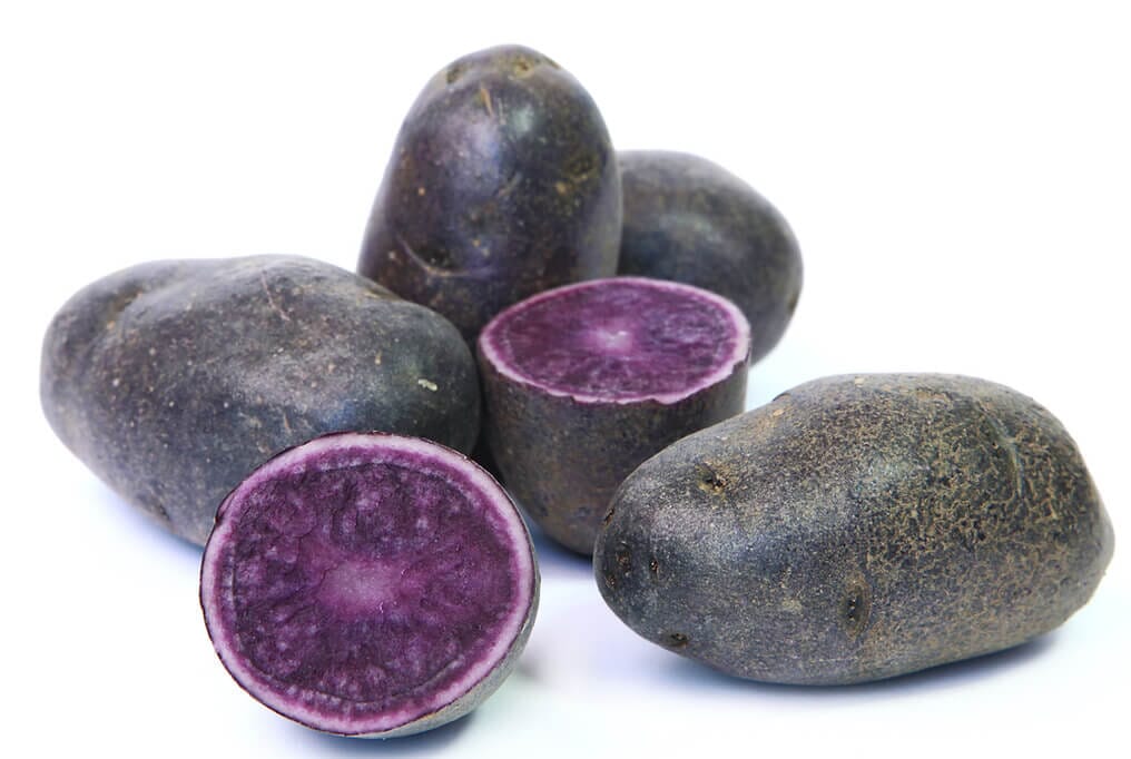 Purple Majesty