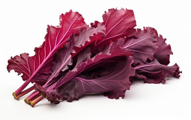 Red Kale