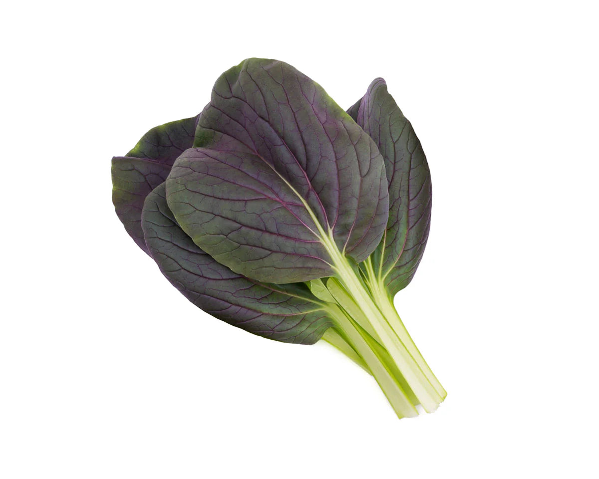 Red Pac choi