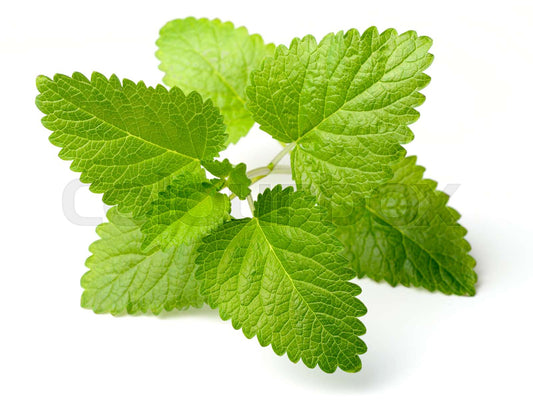 Lemon Mint