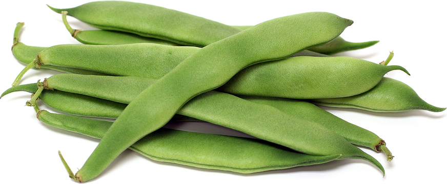 Green Romano Beans