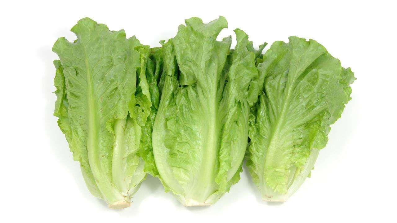 Lettuce loose