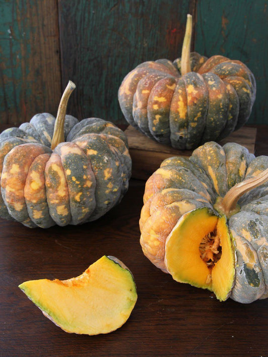 Chiriman Japanese squash