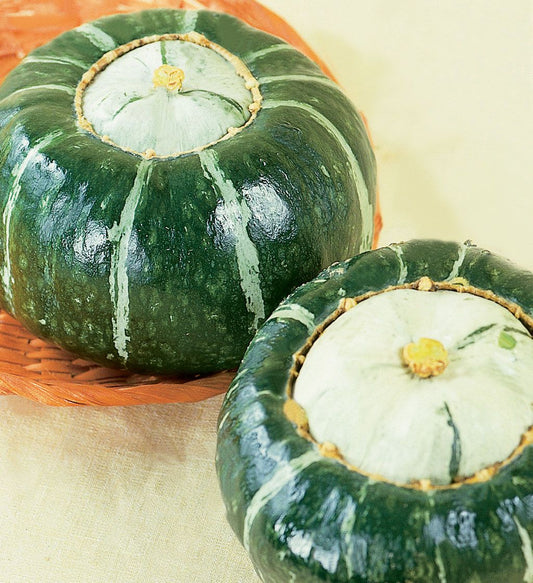 Buttercup squash