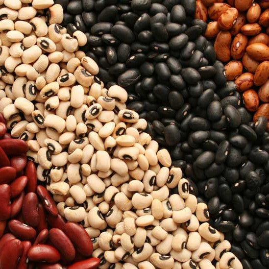 Dry beans