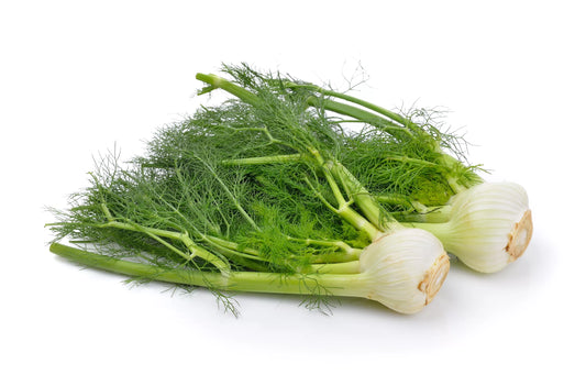 Fennel small