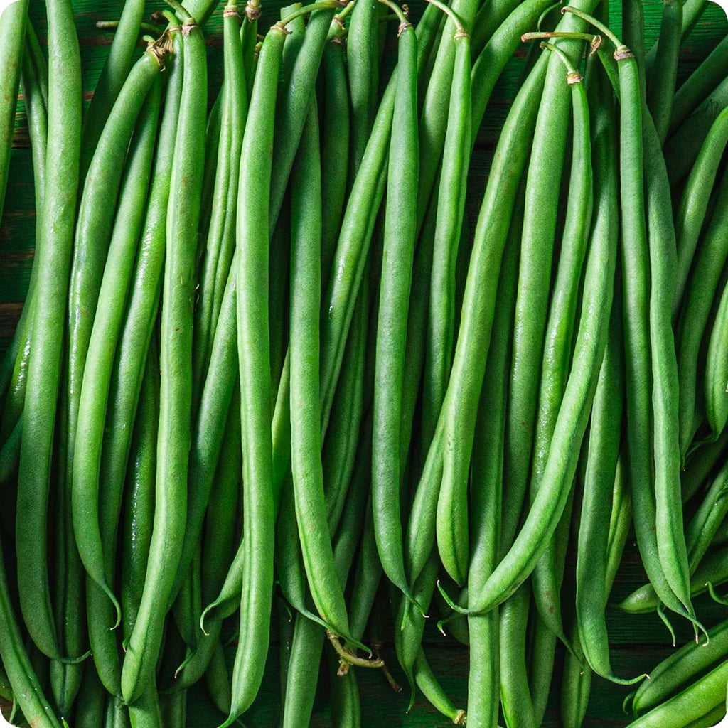 Green filet beans green