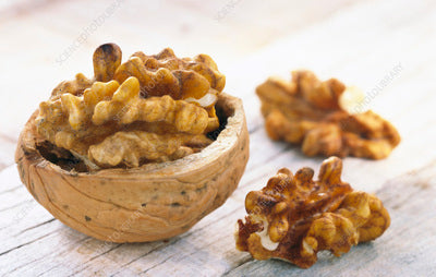 Walnuts pint