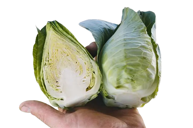 Caraflex small