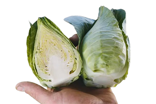 Caraflex small