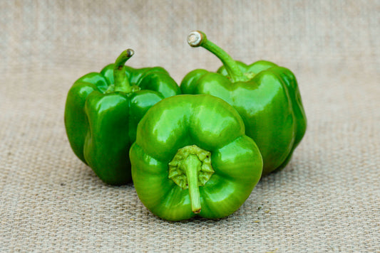 Small bell Pepper