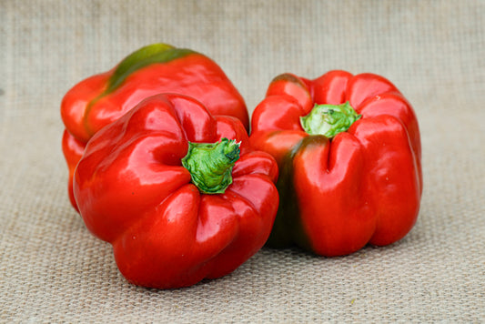 Bell Pepper Red/Yellow