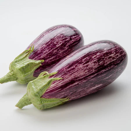 Annina Eggplant