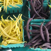 String Beans Colored