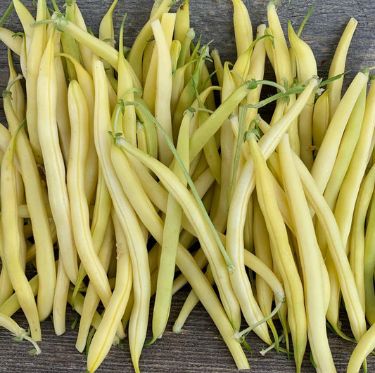 Bamako filet Beans