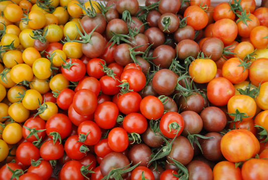 Cherry tomatoe