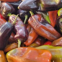 Patchwork Row - Pepper