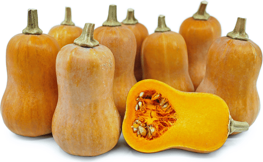 Honeynut squash
