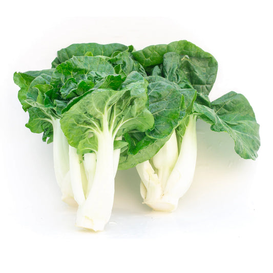 Bok Choy Green