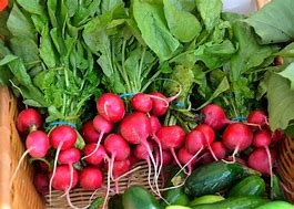 Turnips Red