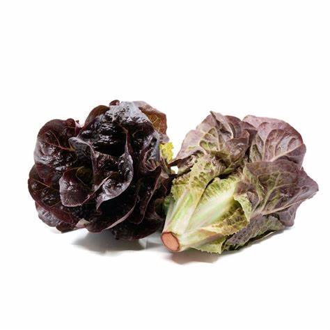 Lettuce Gems Red