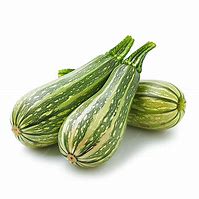 Striped Zucchini medium