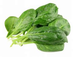Spinach Green