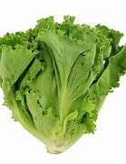 Lettuce loose