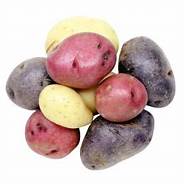 POTATOE Red and Purple