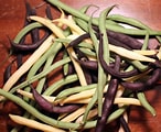 String Beans Colored