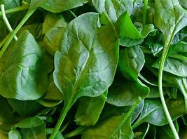 Bag of spinach