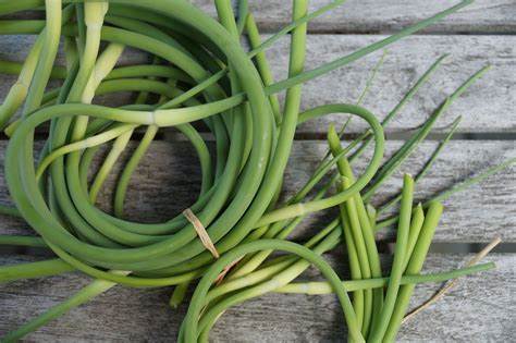 Garlic scapes by pound