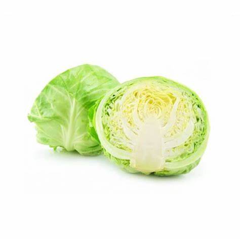 Cabbage - Green