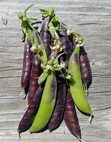 Sugar snap colored per pound