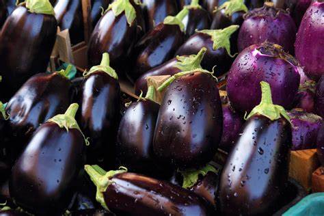 Eggplant