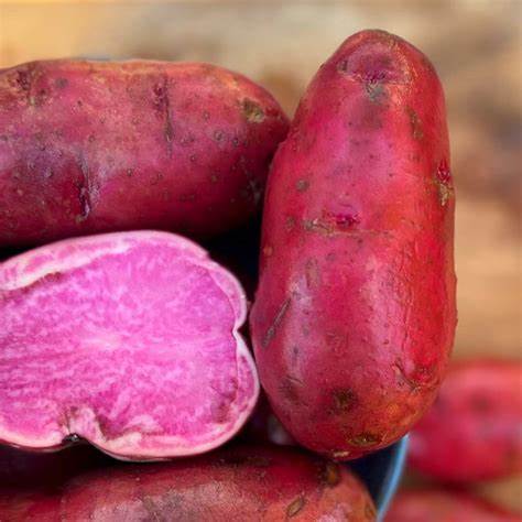 Terra Rosa Potato